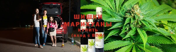 прущая мука Чекалин