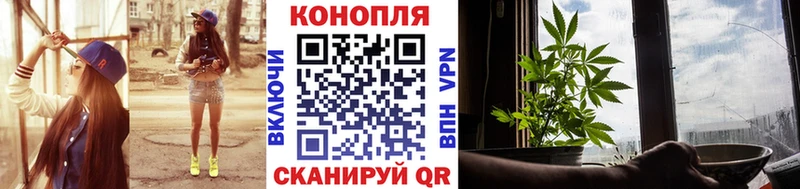 Шишки марихуана гибрид  Купить  Устюжна 
